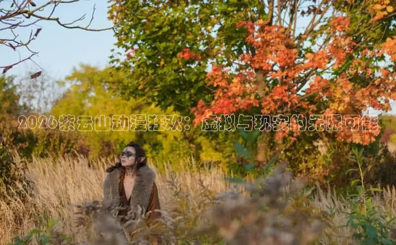 2026紫云山动漫狂欢：虚拟与现实的无限可能
